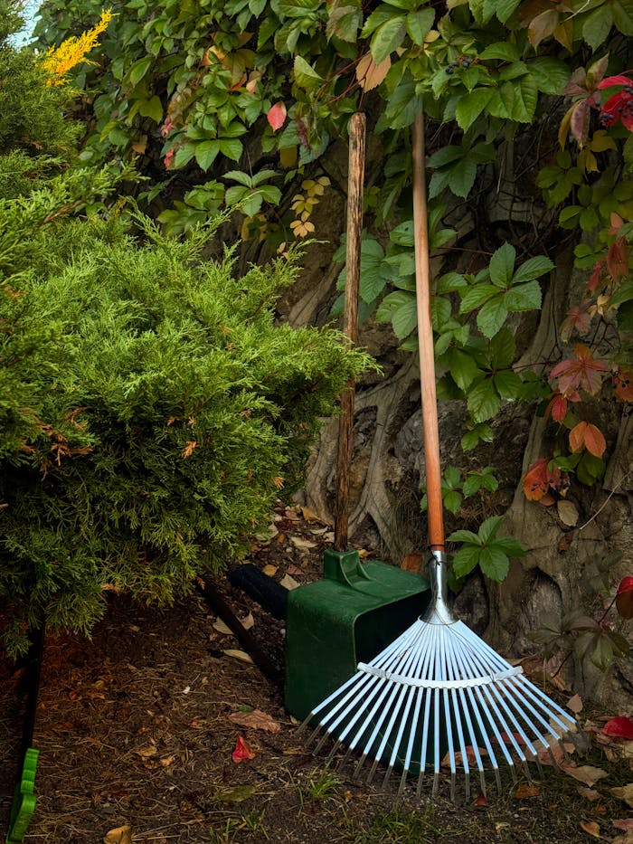 Garden Rake and Watering Can in Lush Greenery