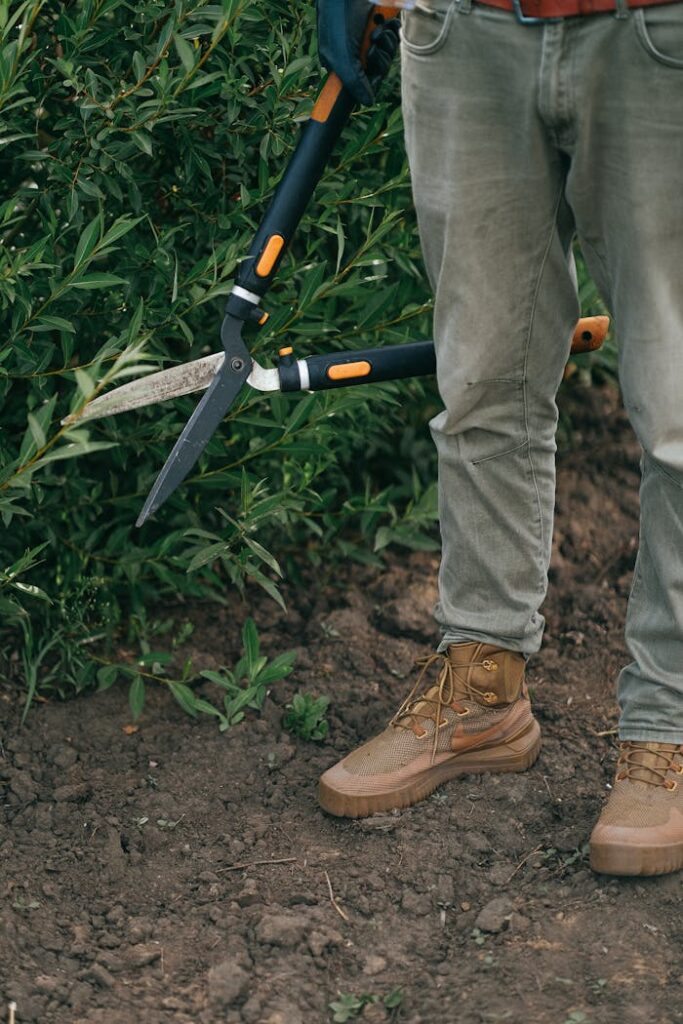 garden-maintenance-sheers A gardener using large shears to trim bushes, highlighting rustic boots and casual attire.