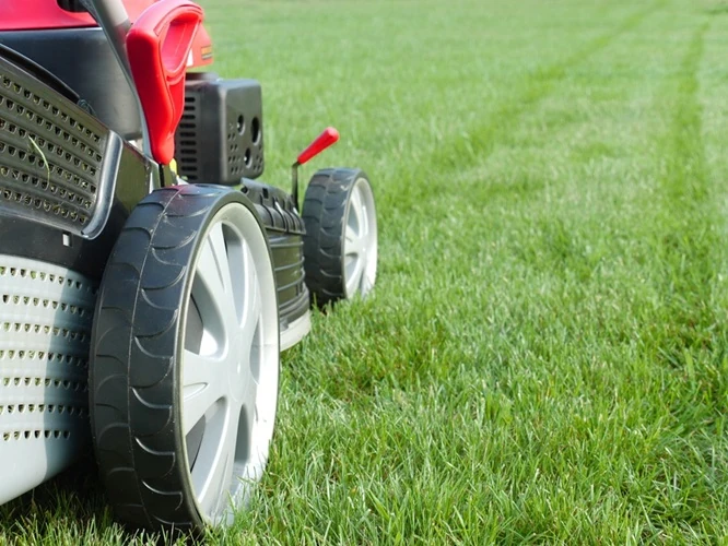 closeup-grassmower-mowing-grass-500px Close-up of a red and black lawn mower wheel cutting green grass