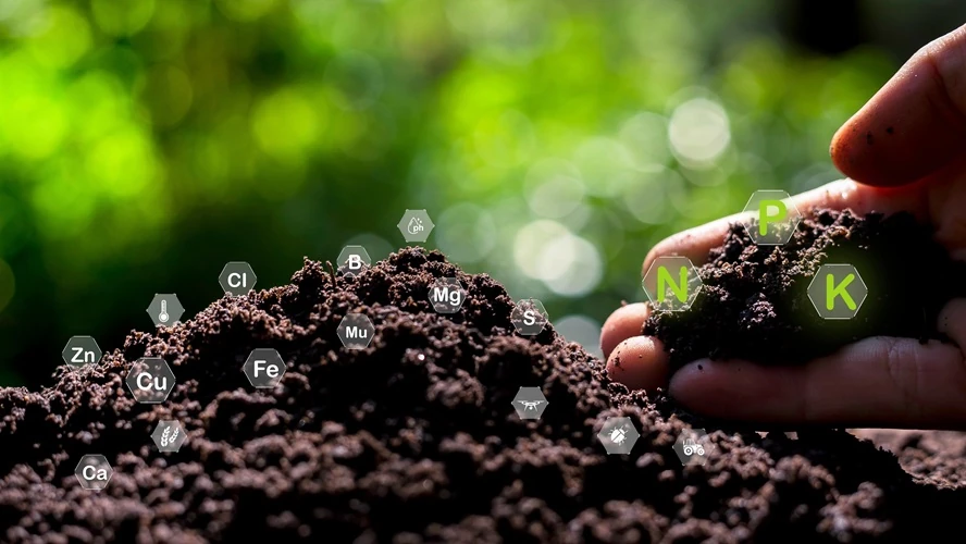 soil-conditioning-monitor-soil-quality-control-composition-concept Hand holding rich soil with icons representing essential plant nutrients like Nitrogen, Phosphorus, Potassium