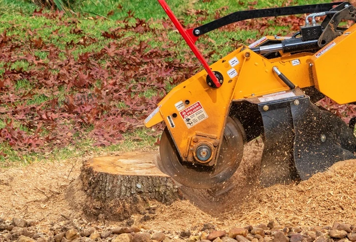 stump-grinding-tree-trunk-close-500px Machine grinding a tree stump with wood chips flying during stump removal service