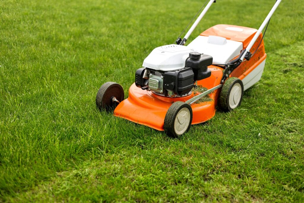 Top,View,Of,Modern,Orange-grey,Gasoline,Lawn,Mower,Cutting,Bright Orange and white petrol lawn mower cutting freshly grown green grass