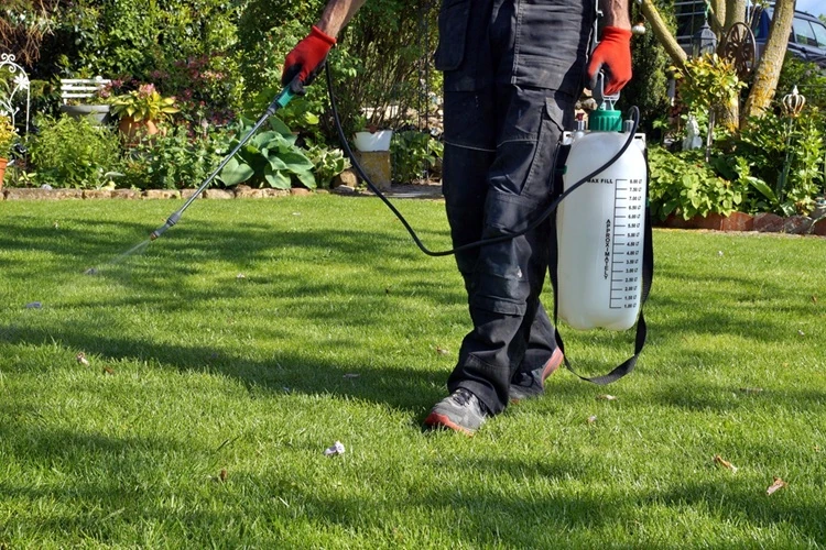 weed-control-spraying-garden-500px Lawnmax spraying lawn with professional pesticide sprayer for weed and pest control