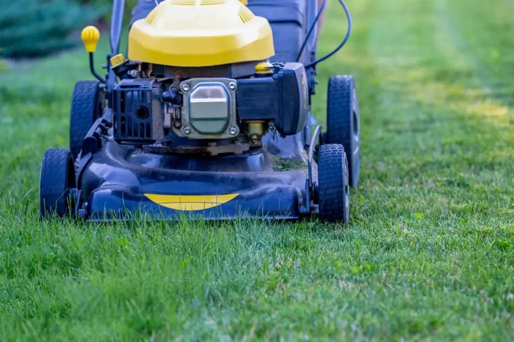 yellow-black-lawn-mower-cutting-high Close-up of a yellow and black lawn mower cutting green grass in a residential garden